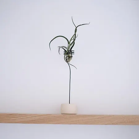 Chill & Co. Serifos Hotel Livadi (Serifos)