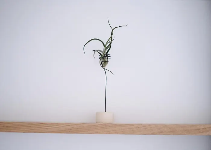 Chill & Co. Serifos Hotel Livadi (Serifos)